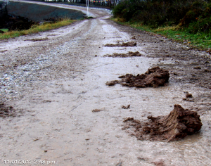 Bill Hughes Muddy Road Turkey Run