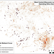 Figure 6. Lowland Shrub Wetland Cover