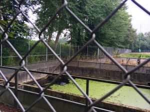 Rotenburg, Germany surface water runoff pond on a gas well pad in production 