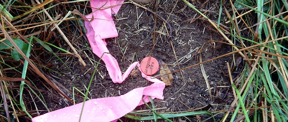 A control point, located off to the side of the center-line of the pipeline.