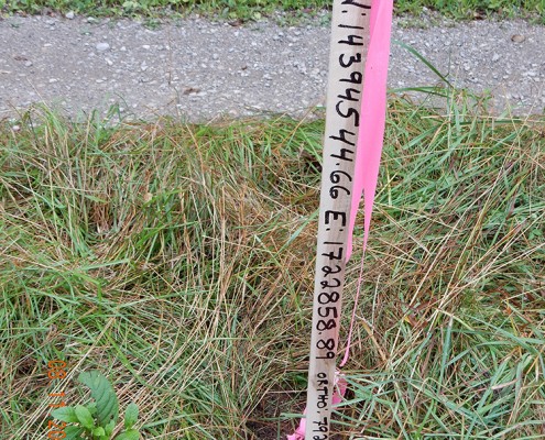 The markings on one side of the stake identify the latitude, longitude, and the elevation above sea level.