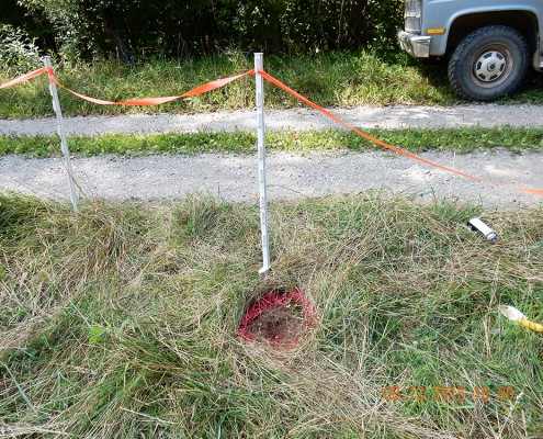 A leftover steel pin, driven into the ground.