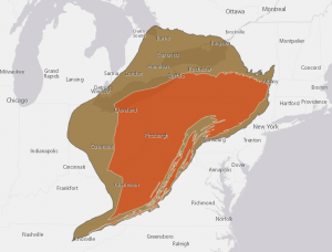 Pipeline build-out: Extent of the Utica (brown) and Marcellus (orange) shale formations.