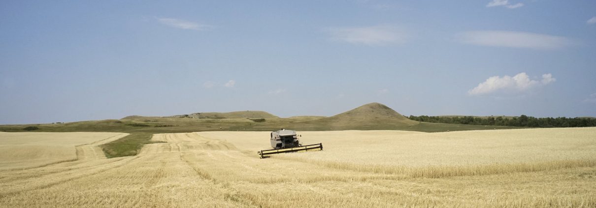 Donny Nelson harvesting his field at his farm near Keene, North Dakota. Photo by David Nix 2015