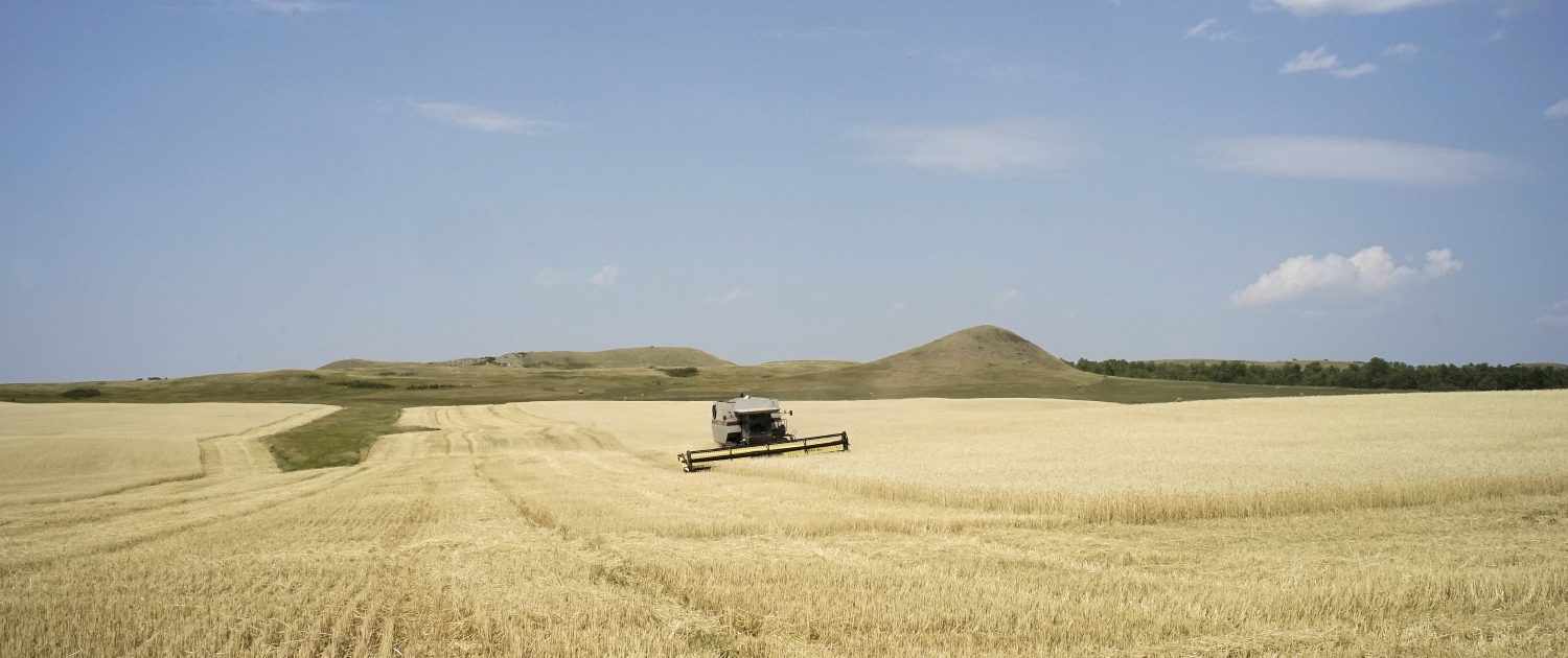 Donny Nelson harvesting his field at his farm near Keene, North Dakota. Photo by David Nix 2015