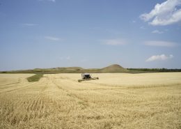 Donny Nelson harvesting his field at his farm near Keene, North Dakota. Photo by David Nix 2015