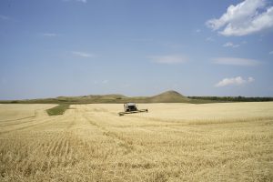 Donny Nelson harvesting his field at his farm near Keene, North Dakota. Photo by David Nix 2015