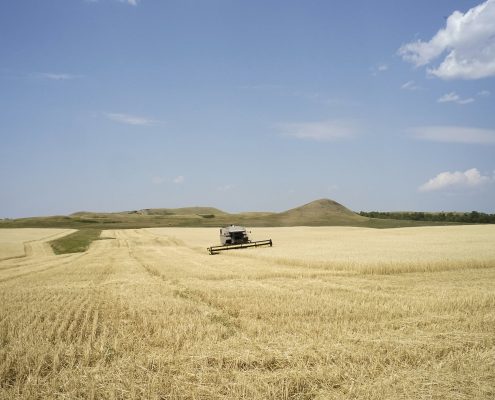 Donny Nelson harvesting his field at his farm near Keene, North Dakota. Photo by David Nix 2015