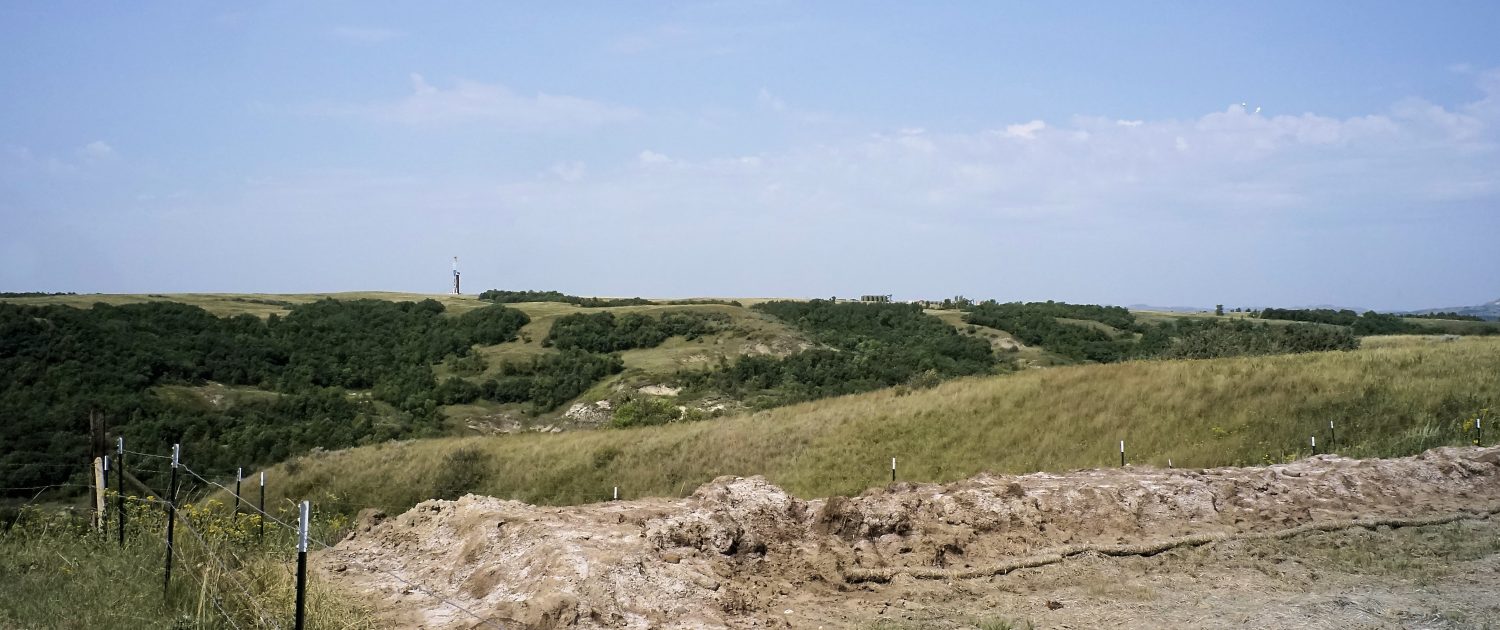 Photo by David Nix 2015