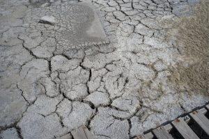 Scorched soil from a toxic brine spill located in a floodplain in Bottineau County, North Dakota. Photo by David Nix 2015