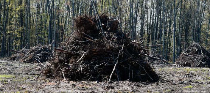 Forest Residue Remaining at the Sunset Trail Road 30 Acre Biomass Clearcut, Kalkaska Conty, Michigan