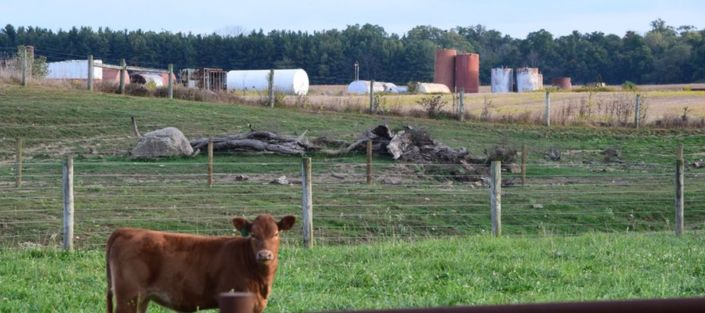 dirty-money-feature Dirty Money feature image - Morrow Co. Ohio Fishburn Walter Class II Well. Photo by Ted Auch, FracTracker Alliance, Sept 2015