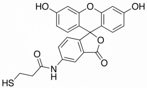 Ethyl mercaptan molecule