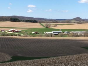 The 700 acre Jereczek Homestead Dairy in Dodge Township, Trempealeau County, Wisconsin first established in 1873 and now being operated by the the 6th generation of Jereczeks.