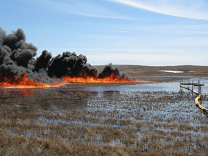 http://www.truthdig.com/eartotheground/item/how_much_oil_spilled_on_north_dakota_no_one_knows