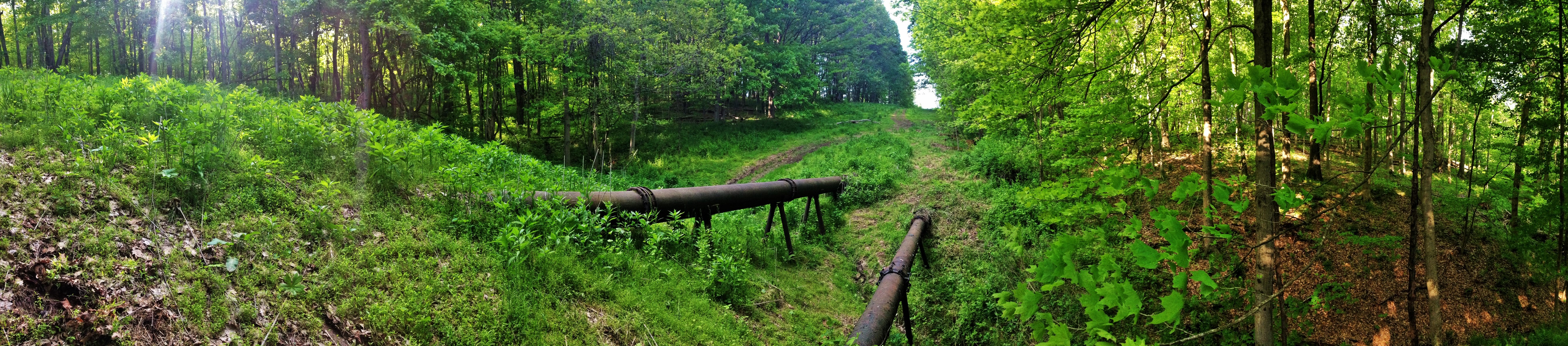 Figure 4: Several yards of the 88,000 miles of gas pipelines cutting through Pennsylvania. Finleyville, PA. Credit: Leann Leiter. 