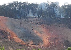 Burned hillside near Ivy Lane after the Revolution Pipeline Exploded