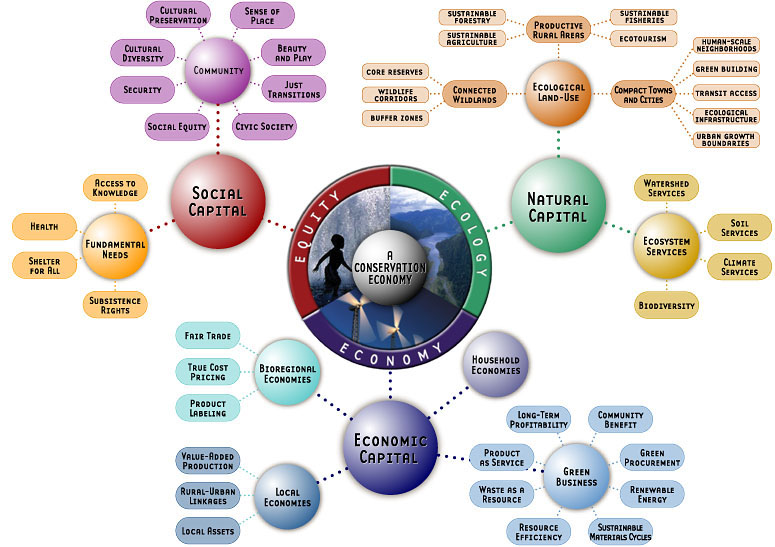 Conservation Economy's Pattern Map