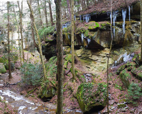 Captina Creek Watershed Feature