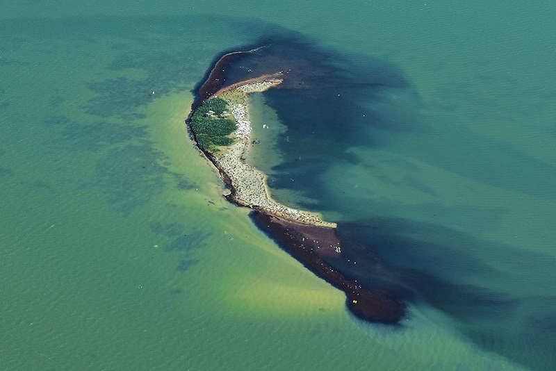 Corpus Christi Bay shoals in TX. Photo by Ted Auch.