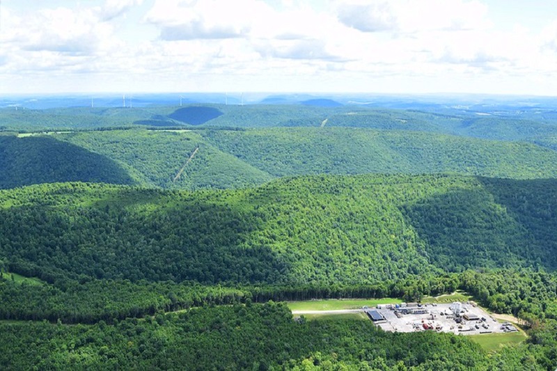 Forest in Potter County, PA. Photo by Ted Auch.