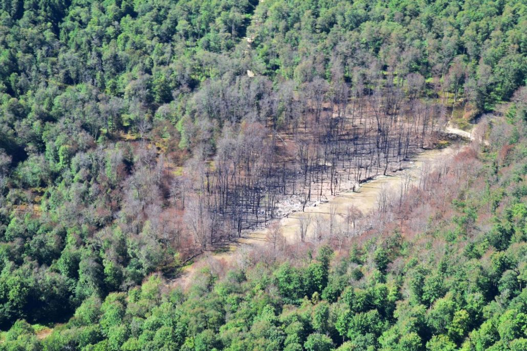 Tennessee Pipeline Incident by Ted Auch, 2022, with support from LightHawk.