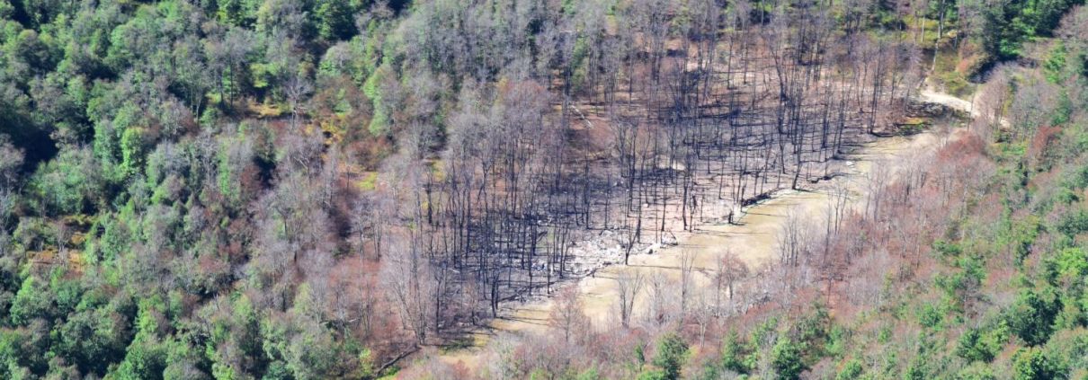 Tennessee Pipeline Incident by Ted Auch, 2022, with support from LightHawk.