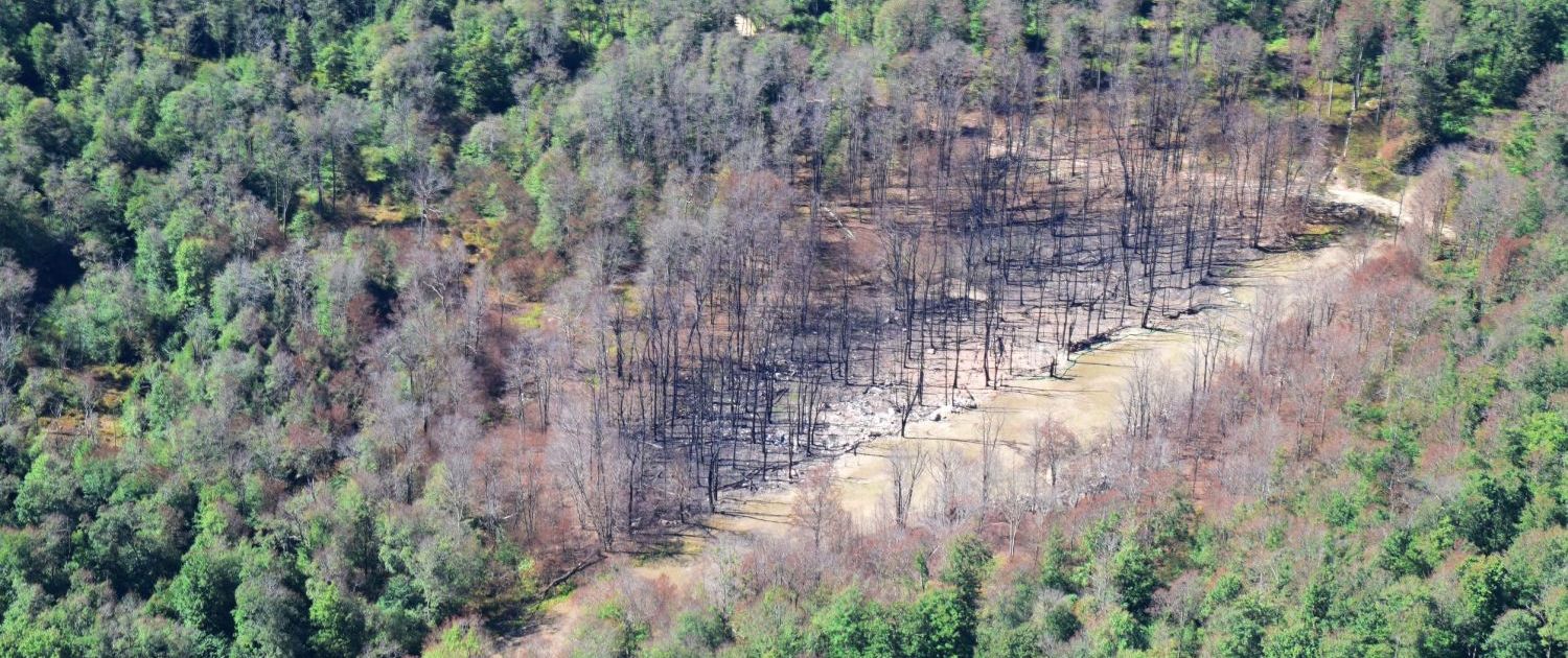 Tennessee Pipeline Incident by Ted Auch, 2022, with support from LightHawk.