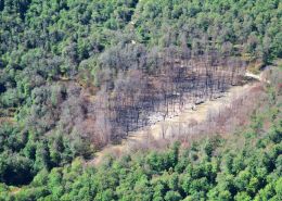 Tennessee Pipeline Incident by Ted Auch, 2022, with support from LightHawk.