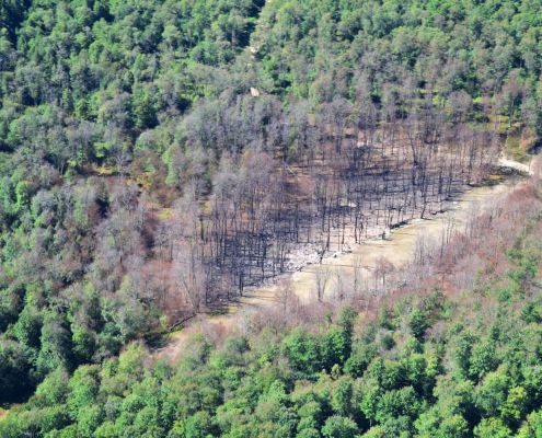 Tennessee Pipeline Incident by Ted Auch, 2022, with support from LightHawk.